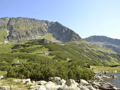 apartamenty-zakopane-krzeptowki.jpg