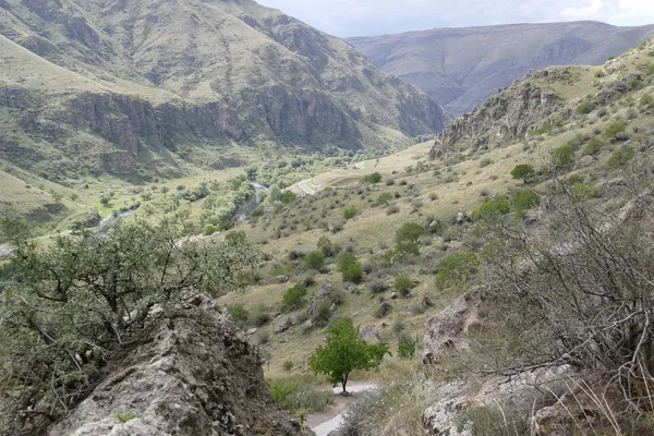 meska-ramoneska-skora-naturalna.jpg